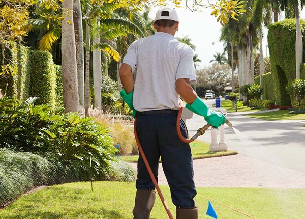 About Odessa FL Pest Control